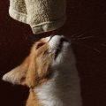 衣類のくさい汗の臭いの原因と対策！